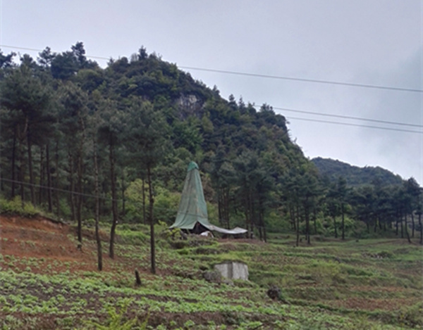 把脈“黔”鋅地，問診開良方